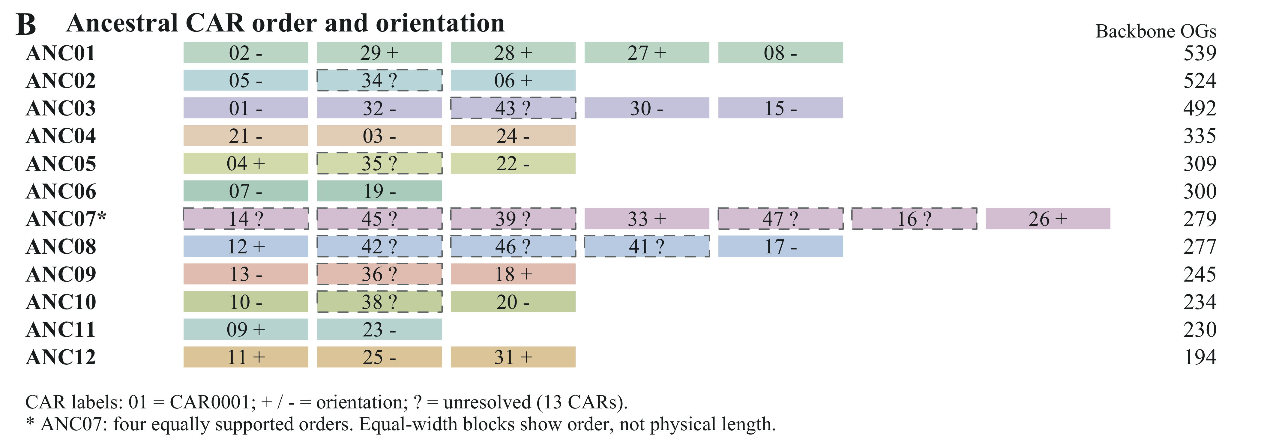 B · CAR order and orientation