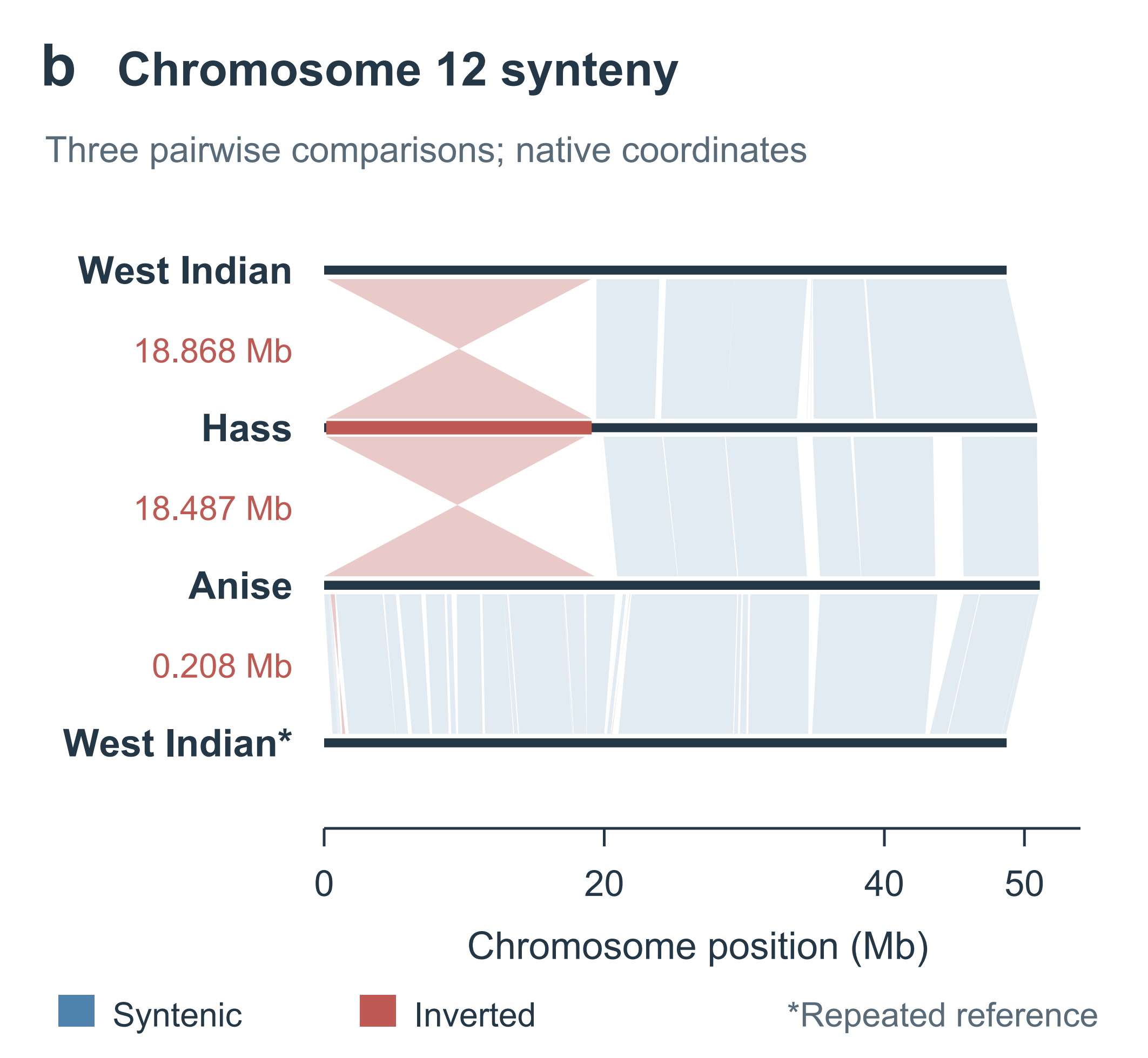 Chromosome 12 synteny