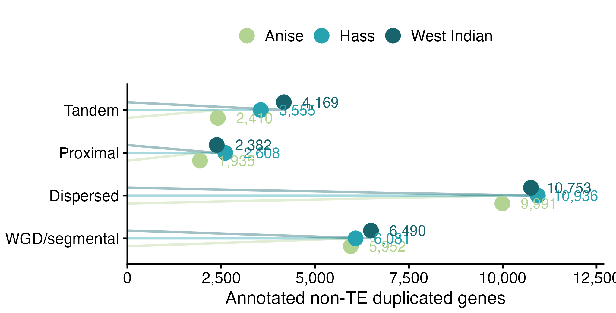 Gene duplication classes