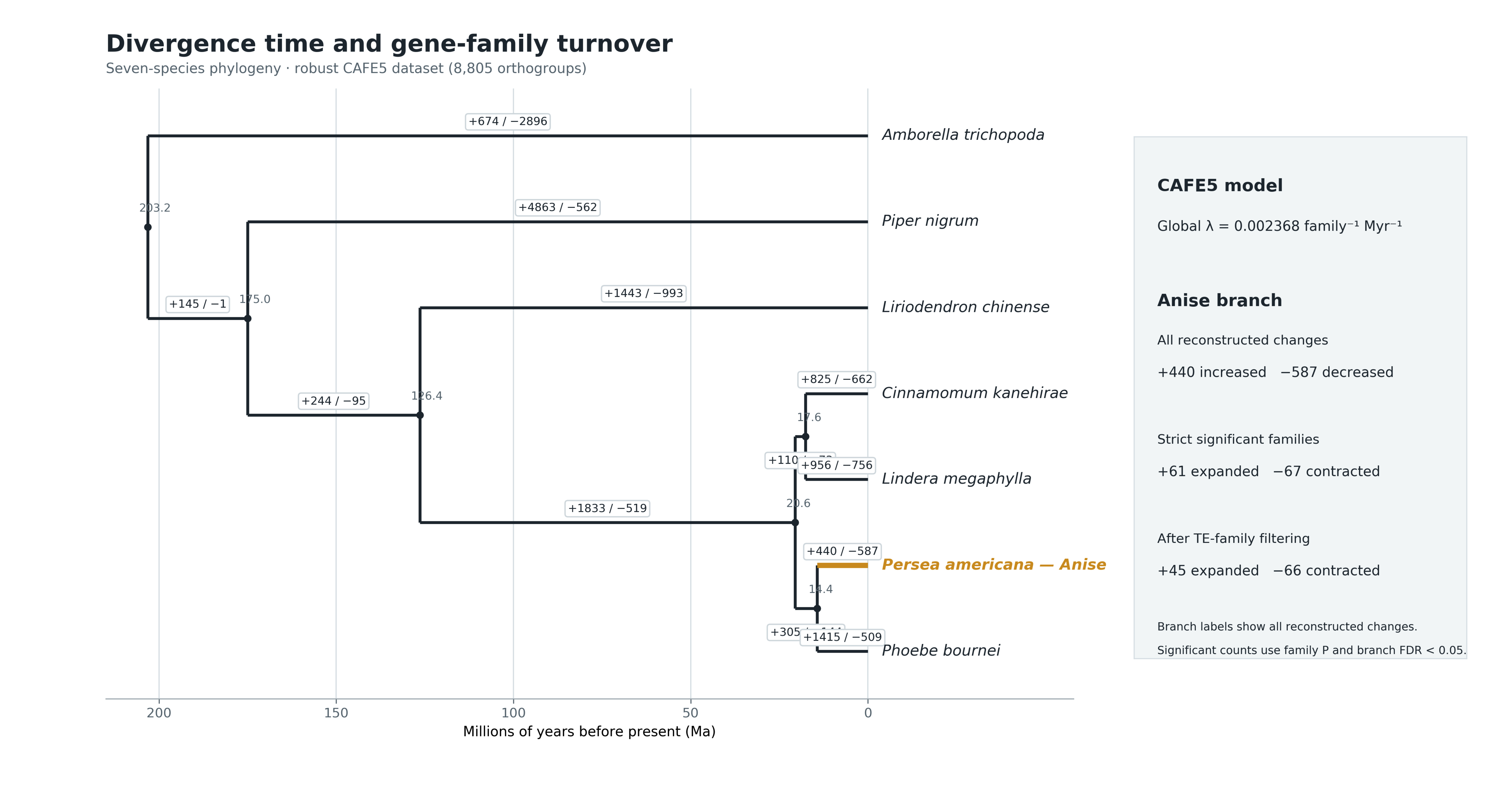 Phylogeny and family turnover
