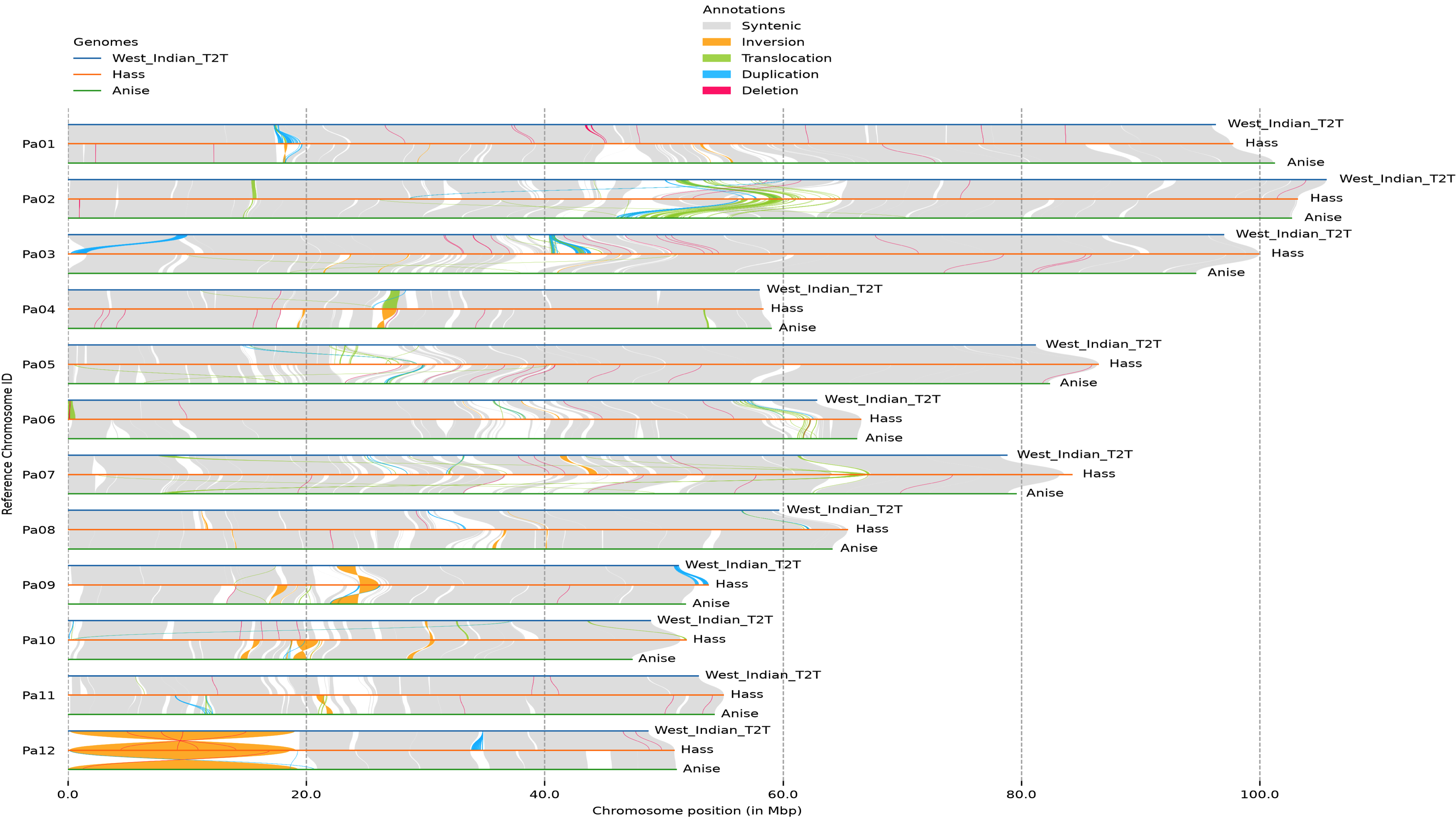 Three-genome chromosome synteny